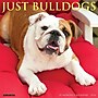 2026 Willow Creek Bulldogs 12" x 12" Monthly Wall Calendar (50439)~#|#~FE1E97FC-AE85-441F-93B613FC55812AFD_sc7
