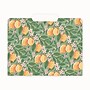 Blue Sky Bespoke File Folder, 1-Tab, Assorted, Letter Size, 6/Pack (155612)~#|#~FE31E8A8-2094-4E82-B268DC7D6CDEAD35_sc7