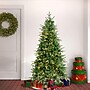 National Tree Company Duxbury Artificial Christmas Tree, 6 ft., Clear Lights (PEDUX8-300L-60)~#|#~FE4CF76B-E85D-4903-9665AB4B71F396DF_sc7