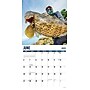2027 Willow Creek Deep Sea Fishing 12" x 12" Monthly Wall Calendar (65181)~#|#~FE5A8777-ECC6-4600-8AC6AFE719E79180_sc7