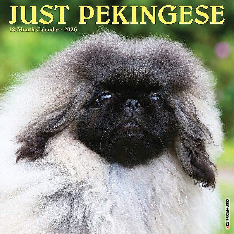 2026 Willow Creek Pekingese 12" x 12" Monthly Wall Calendar (52358) image 1