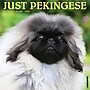 2026 Willow Creek Pekingese 12" x 12" Monthly Wall Calendar (52358)~#|#~FE6000DE-3060-4FF3-AF6997BB16DBB500_sc7