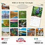 2026 BrownTrout Georgia Wild & Scenic 12" x 12" Monthly Wall Calendar (9798330703340)~#|#~FE733E0C-C610-4D2D-A0770AD7939DD398_sc7