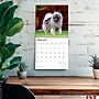2026 BrownTrout Keeshonden 12" x 12" Monthly Wall Calendar (9798330704033)~#|#~FEBACA07-EC9B-4C05-BDEAD195B6890C62_sc7