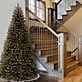 National Tree Company North Valley Spruce Artificial Christmas Tree (NRV7-500-120)~#|#~FEBB8E20-D6D3-4260-ADAA2FEC293B14EE_sc7
