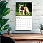 2027 BrownTrout For the Love of French Bulldogs 14" x 12" Monthly Wall Calendar, Assorted Colors (9798330714704)~#|#~FECACF9D-ED74-4280-8C2CE9713C0EDC84_sc7