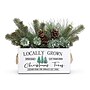 Alder Creek Locally Grown Christmas Trees Gift Crate (FG04131-1PK)~#|#~FECDAB84-0DE8-4CF3-85EC72595B277793_sc7