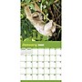 2026 TF Publishing Sloths 12" x 12" Monthly Wall Calendar (26-1045)~#|#~FED6EE67-C45C-447F-B99CEEDB328E6597_sc7