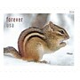 USPS Squirrels & Chipmunks in Snow Forever 20 Postage Stamps (FOR-SQUIRREL-20)~#|#~FEFC4FB3-A717-4127-BBEAE2B3A747DDA9_sc7