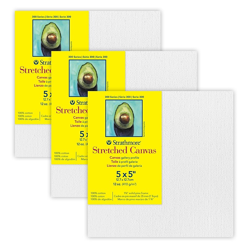 Strathmore 300 Series Primed White Stretched Canvas, 5" x 5", 3/Pack, 3/Bundle (STT31405-3) image 1