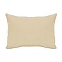 National Tree Company 18"x10" String of Carrots Easter Pillow (AH63-PFY09373-1)~#|#~FF34EBFB-82DA-44DE-98888F0D3B9B97A0_sc7