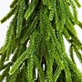 Nearly Natural Artificial Real Touch Down Swept Norfolk Island Pine in Christmas Tin Metal Planter, 20" (T5389)~#|#~FF47C37C-1D8D-4E0A-9002E387012D59B5_sc7