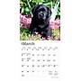 2026 BrownTrout Black Labrador Retriever Puppies 7" x 7" Monthly Wall Calendar (9798330704187)~#|#~FF4B20DD-E6D5-46E7-9C43BCD8AF9F923B_sc7