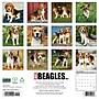 2027 Willow Creek Beagles 12" x 12" Monthly Wall Calendar, Assorted Colors (59104)~#|#~FF5B8981-2EE2-4707-A02963A6FDD9A85E_sc7