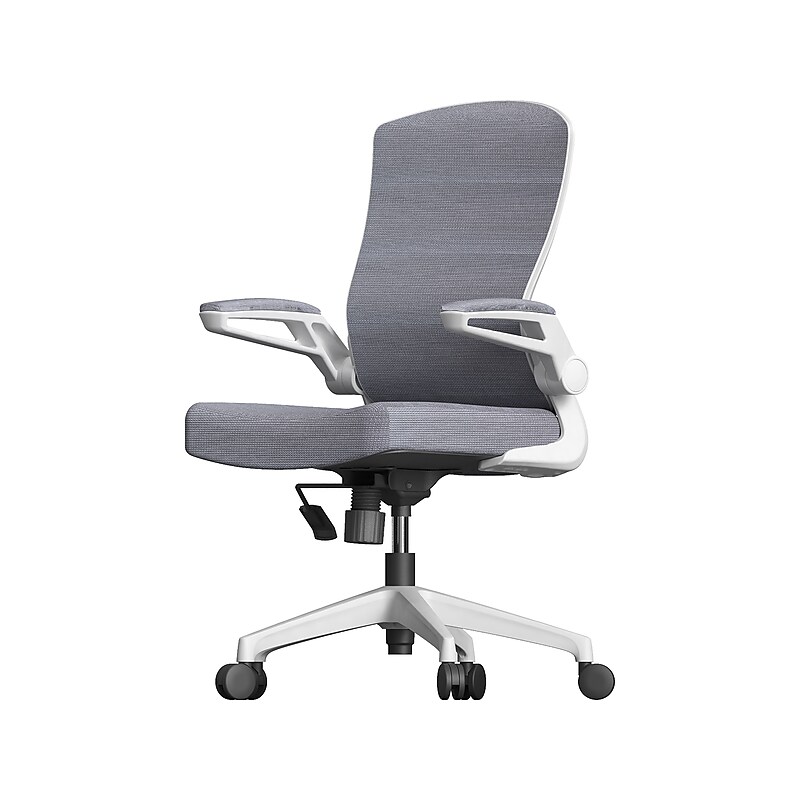 RAYNOR GROUP ION Fabric Task Chair, Gray/White (ION-WH-GRY) image 1