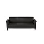 Alera Reception Lounge Series Leather Sofa with Wooden Feet, Black (ALERL21LS10B)~#|#~FF676C73-96B7-4E3E-A8854E958DEE4D2C_sc7