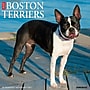 2027 Willow Creek Boston Terriers 12" x 12" Monthly Wall Calendar, Assorted Colors (59302)~#|#~FF7464C3-3BA5-49B7-8DDD34F6B3191863_sc7