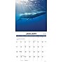 2026 Willow Creek Whales 12" x 12" Monthly Wall Calendar (53140)~#|#~FF76890B-C0E1-420E-9BBC1BF11929C42C_sc7