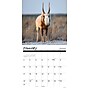 2027 Willow Creek Exotic Animals  12" x 12" Monthly Wall Calendar (60148)~#|#~FF797836-4576-4F7D-899B2DCAB1B08099_sc7