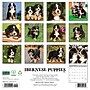 2027 Willow Creek Bernese Mountain Puppies 12" x 12" Monthly Wall Calendar, Assorted Colors (59142)~#|#~FF918EDA-2C51-420C-8F8915BB809C2017_sc7