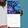 2027 TF Publishing Flowers 7" x 7" Monthly Wall Calendar, Multicolored (27-2014)~#|#~FF93E988-1D5D-49A1-AA9B82BC19CF596C_sc7