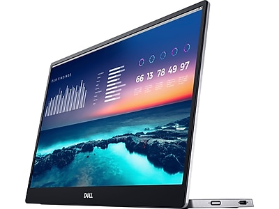 Dell 14" LCD Monitor P1424H