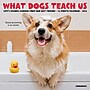 2026 Willow Creek What Dogs Teach Us 7" x 7" Monthly Wall Calendar (53836X)~#|#~FFA0E020-ACA9-4510-A5D39A0A230A624E_sc7