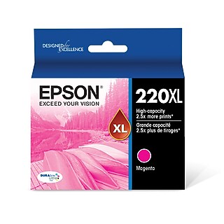 Epson T220 Black High Yield and Cyan/Magenta/Yellow Standard Yield