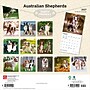 2027 BrownTrout Australian Shepherds 12" x 12" Monthly Wall Calendar (9798330712205)~#|#~FFC1B7DE-CB7B-4A59-87FE57DE89A9B1E2_sc7