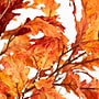 Nearly Natural 7' Autumn Oak Artificial Fall Tree (T4808)~#|#~FFDB3B24-80AB-4903-8994EC25CA22393C_sc7