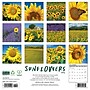 2026 Willow Creek Sunflowers 12" x 12" Monthly Wall Calendar (52907)~#|#~FFDDA9F8-A657-4B15-A72ADBA77485FBBD_sc7