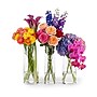 Azar Displays Small Vase Tabletop Decor, Clear (556968-SET)~#|#~FFF51B25-3C04-463D-91751F6EE5516F00_sc7