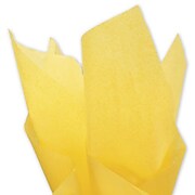 Bags & Bows® 20" x 30" Solid Tissue Papers, 480/Pack (11-01-47)