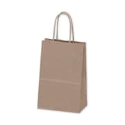 brown paper shopping bags with handles