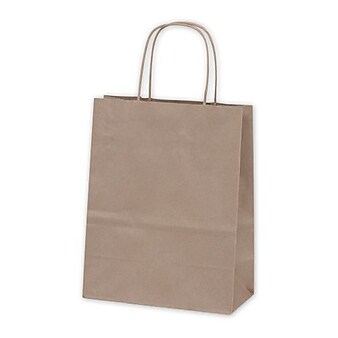 Kraft Paper 8-1/4"W x 4-3/4"D x 10-1/2"H Cub Shopper Bags, Kraft, 250/Pack