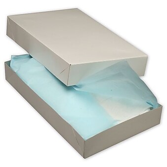 Bags & Bows® 19" x 12" x 3" Two-Piece Apparel Boxes, 50/Pack (51-191203C-9)