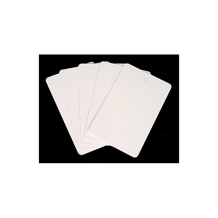 1,000 Pcs, 1-3/4 x 2-7/8Inch Large Merchandise Coupon Price Tags