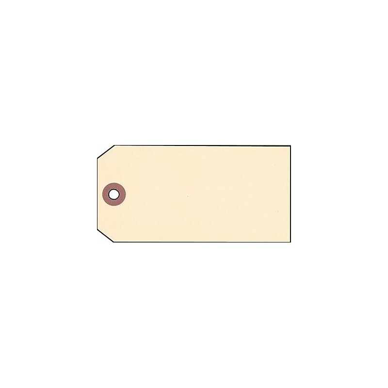 Nahanco 4 1/2" x 2 1/8" Strung All Purpose Tag, Manila, 1000/Pack image 1
