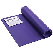 Go fit GF Yoga Mat with Yoga Position Poster, Blue