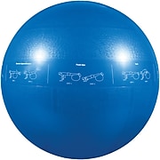 Gofit GF-55PRO Professional Stability 55cm Ball w/ Brook Benten DVD, Blue