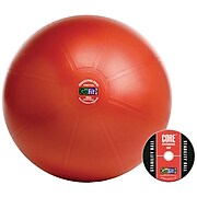Gofit GF-55PRO Professional Stability 55cm Ball w/ Brook Benten DVD, Blue