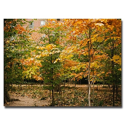 Nature Landscape Art