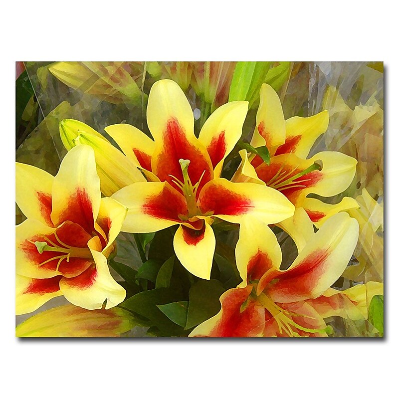 Trademark Fine Art Amy Vangsvard 'Lillies' Canvas Art image 1