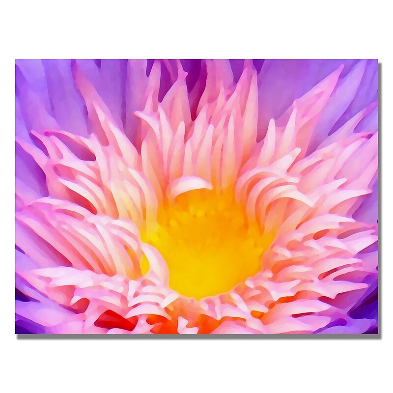 Trademark Fine Art Amy Vangsgard ' Lily Up Close' Canvas Art image 1