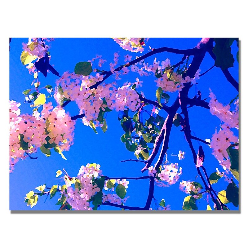 Trademark Fine Art Amy Vangsgard ' Pink Flowering' Canvas Art image 1