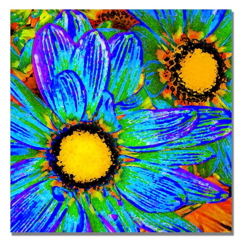 Trademark Fine Art Amy Vangsgard 'Pop Daisies IV' Canvas 24x24 Inches image 1