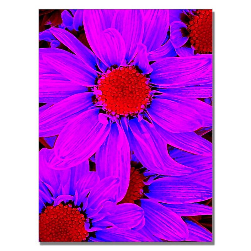 Trademark Fine Art Amy Vangsgard 'Pop Daisies IX' Canvas 35x47 Inches image 1