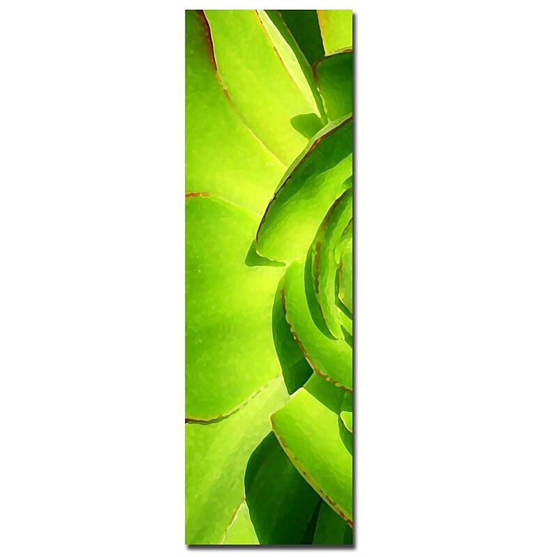 Trademark Fine Art Amy Vangsgard 'Succulent Square' Canvas Art-Part A image 1