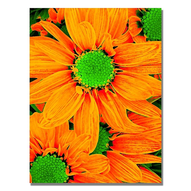 Trademark Fine Art Amy Vangsgard 'Pop Daisies X' Canvas 18x24 Inches image 1