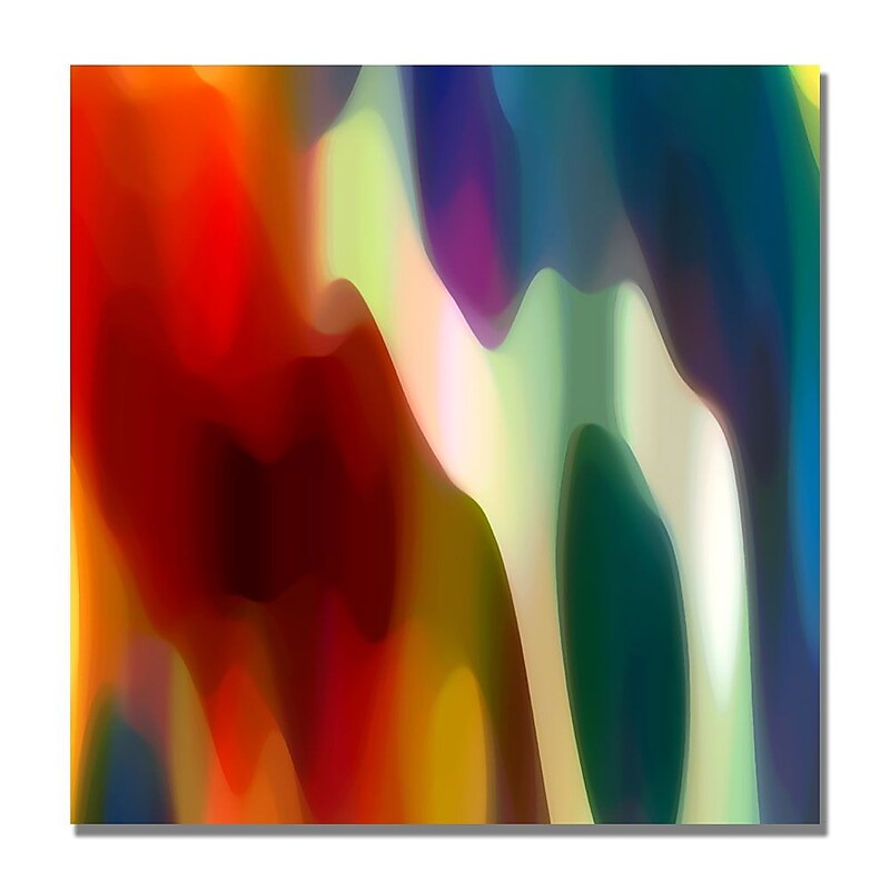 Trademark Fine Art Amy Vangsgard 'Color Fury II' Canvas Art 24x24 Inches image 1